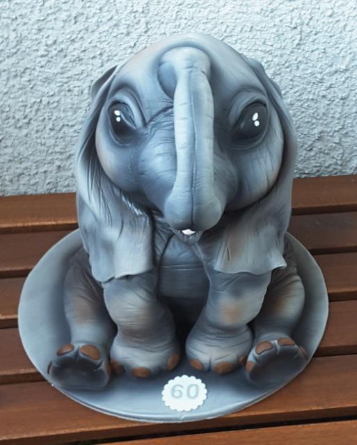 Slon 15
