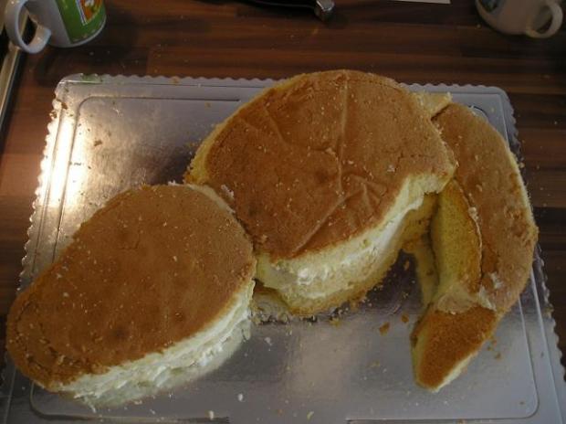 Krokodíl - 3D torta 4