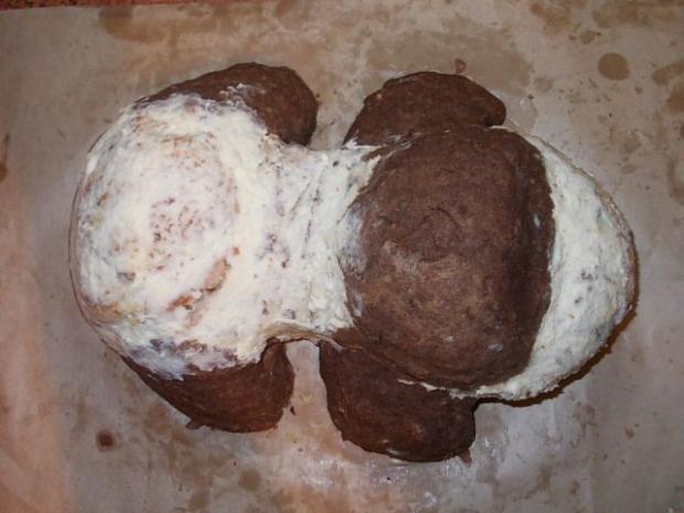 Torta psík 3