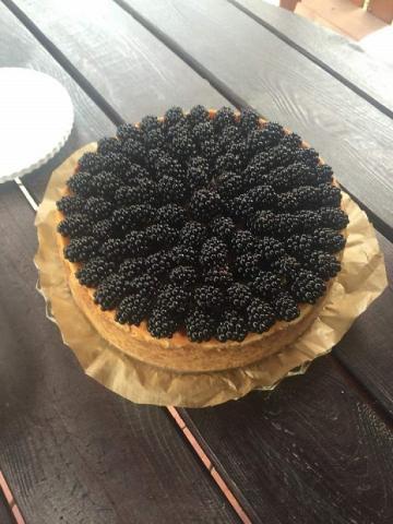 Cheesecake s ovocím - recept postup 1