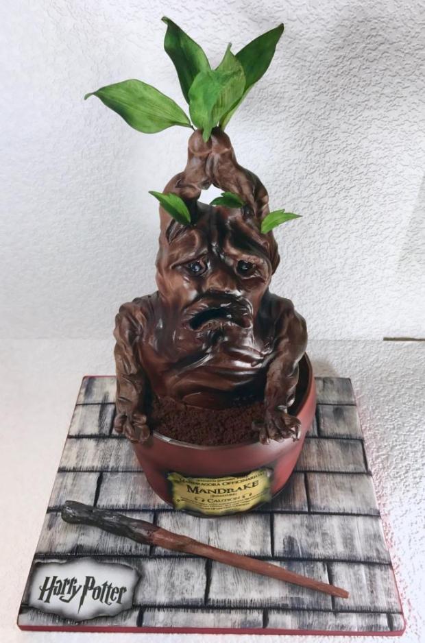 Mandragora Harry Potter Torta Rozpravkove Torty Tortyodmamy Sk
