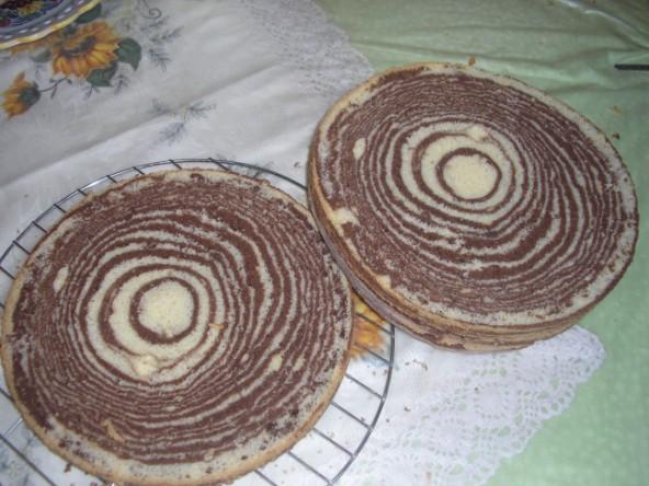 mramorový korpus z Dortománie - foto postup