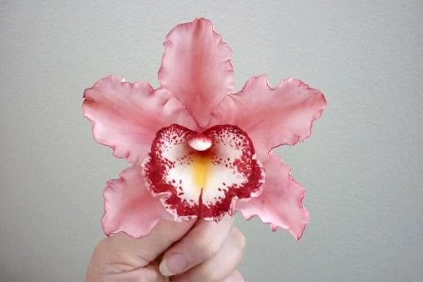 Postup na orchideu