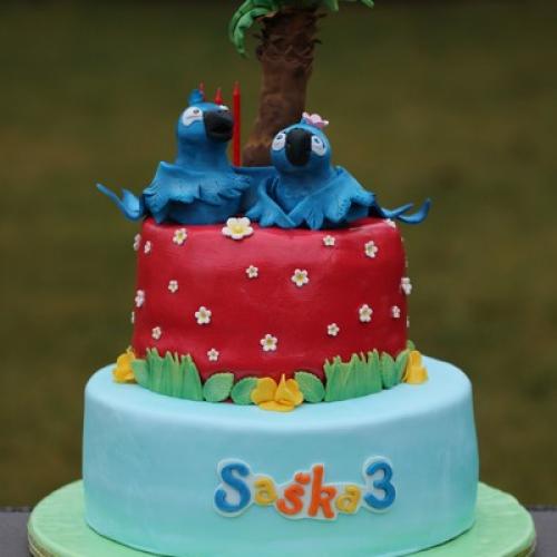 RIO torta : 