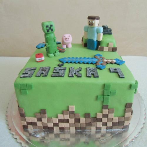 Minecraft mania