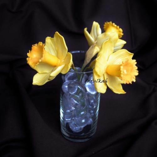 Narcisy