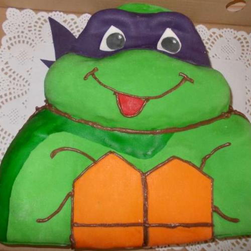 Ninja korytnačka