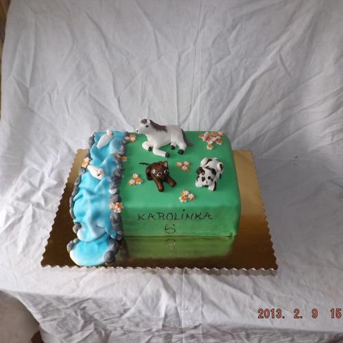torta farma