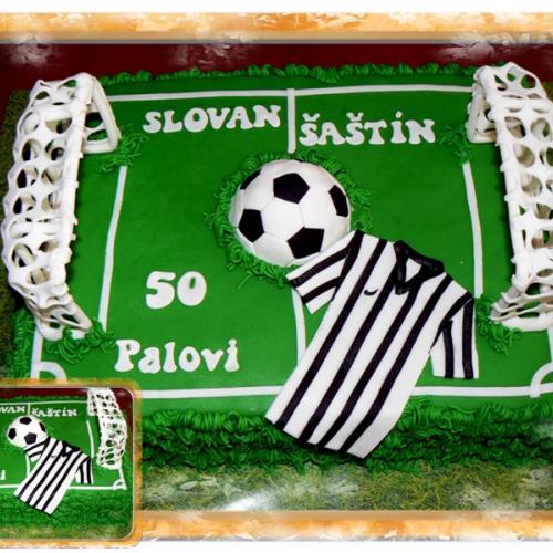 Futbalové ihrisko - 4   SLOVAN - ŠAŠTÍN