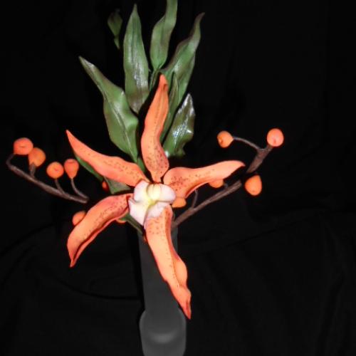 Orchidea tigria...