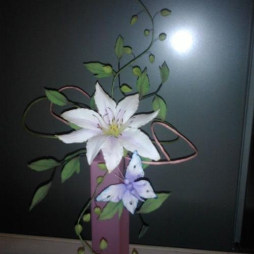 clematis s motýlom