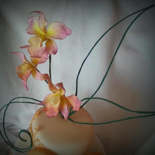 orchideový top na torte
