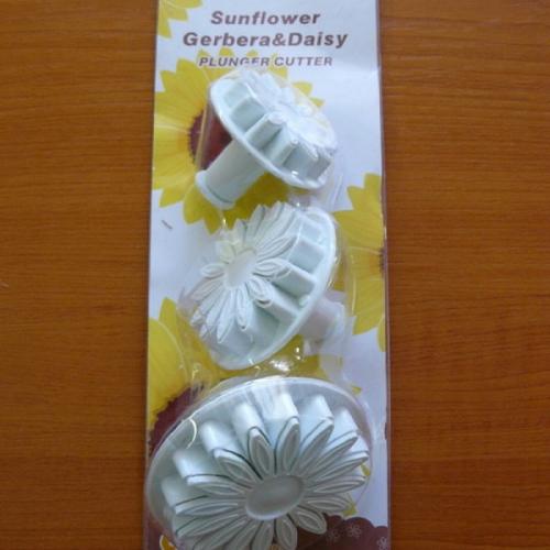 Gerbera / slnečnica
