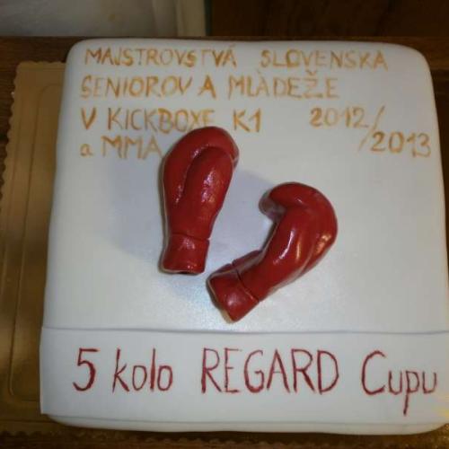 na športové podujatie