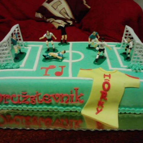 futbalove ihrisko