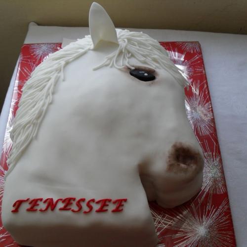 Ďalší pokus o koňa