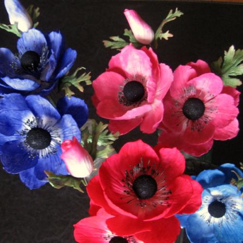 Anemonky