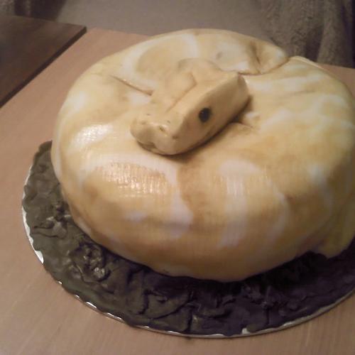 Pytón