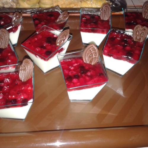 Panna Cotta s rybízem