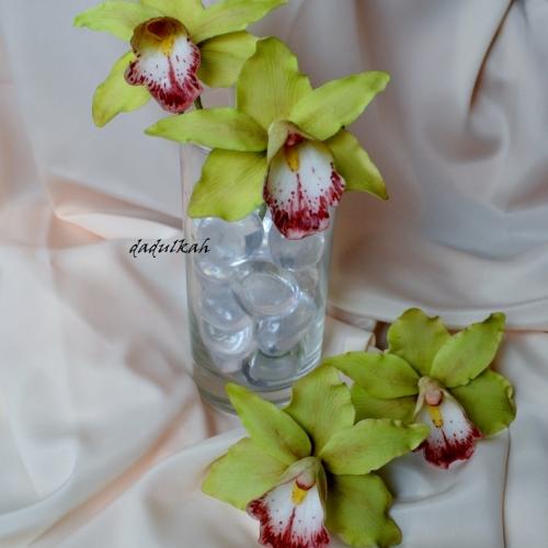 Orchidky