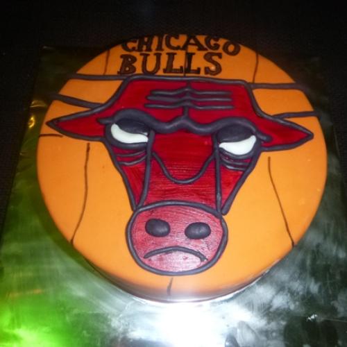 Chicago bulls
