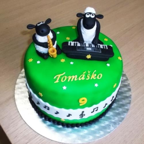 Shaun a Timmy muzikanti :)