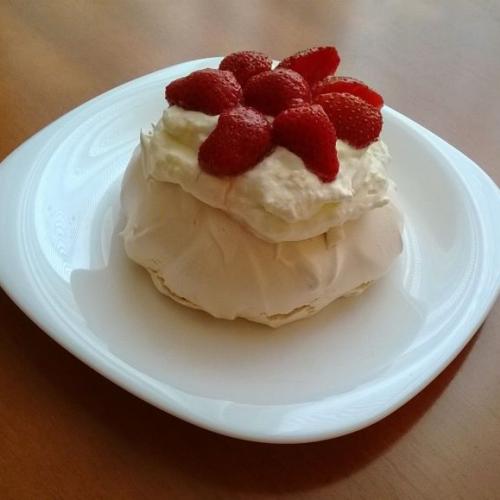 Pavlova torticka