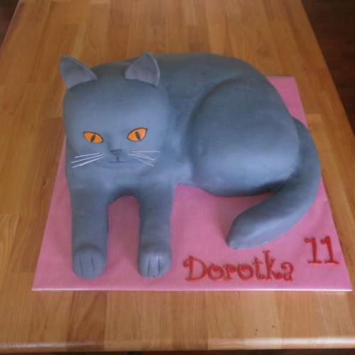 kocúrik