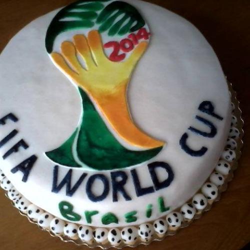 Fifa world cup