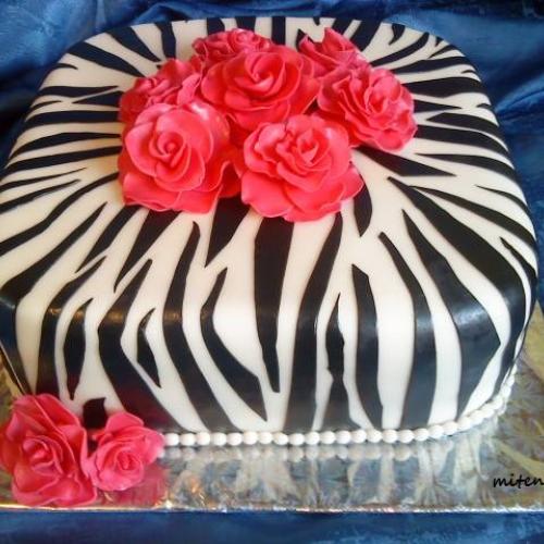 zebra