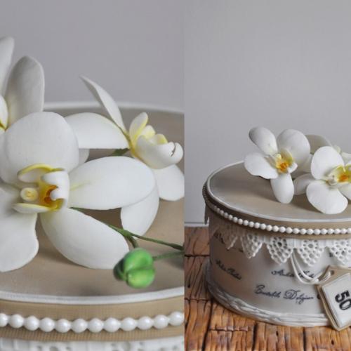 Orchidea