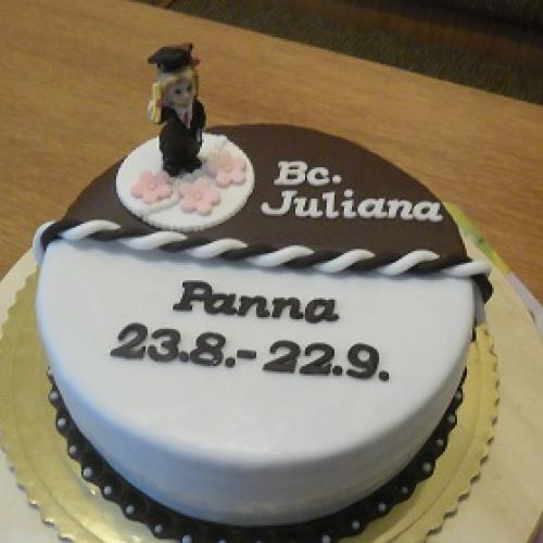 torta 2v1