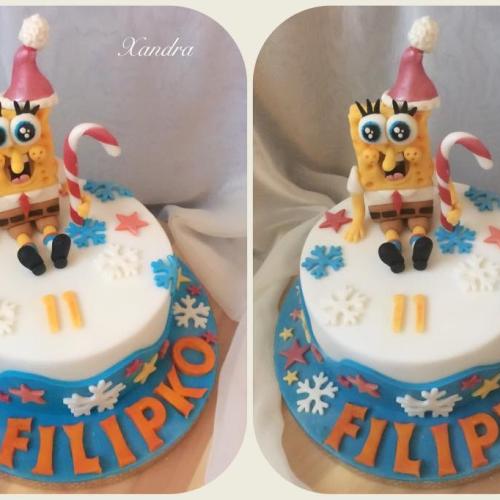 Mikula SPONGE