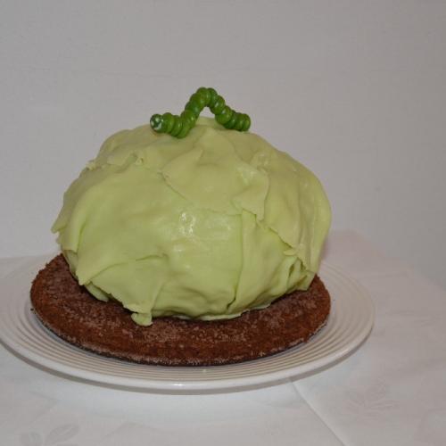 Kapusta