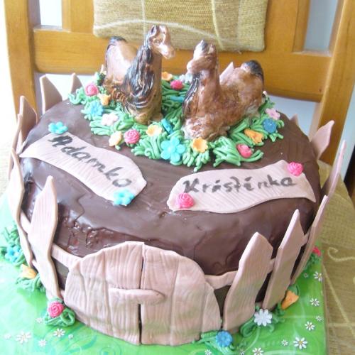 meninová s koníkmi