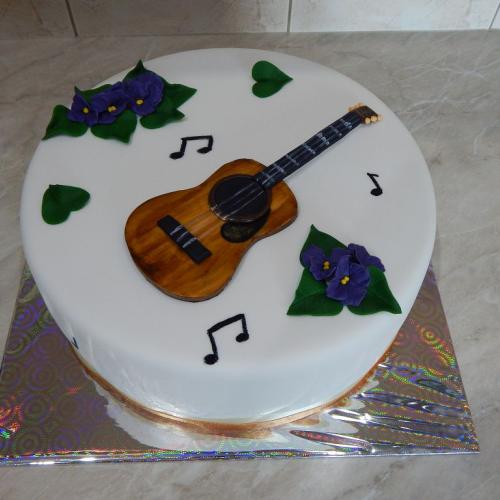 S gitarou