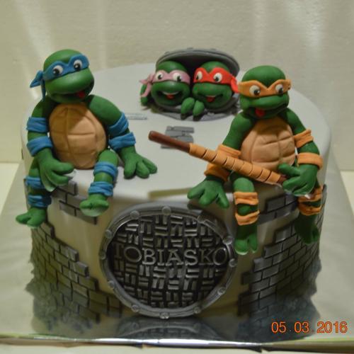 Ninja turtles