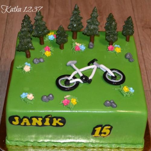narodeninová s bicyklom