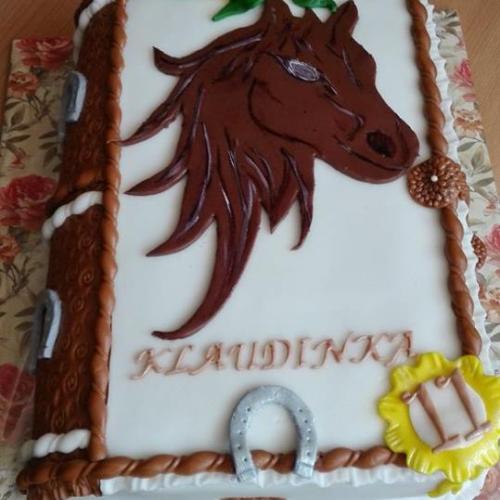 kniha s koníkom pe dievčatko