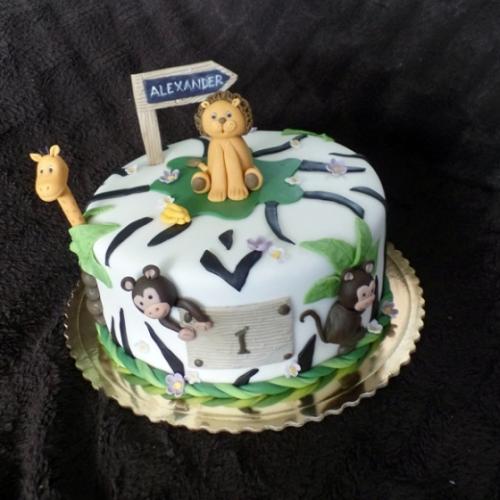 safari