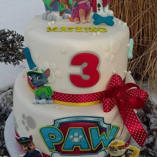 Paw patrol