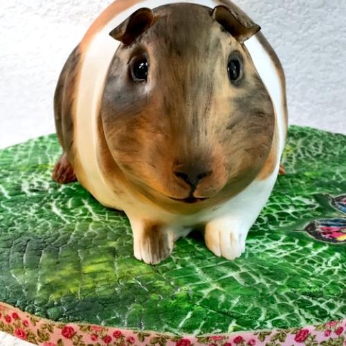 Morče Monty