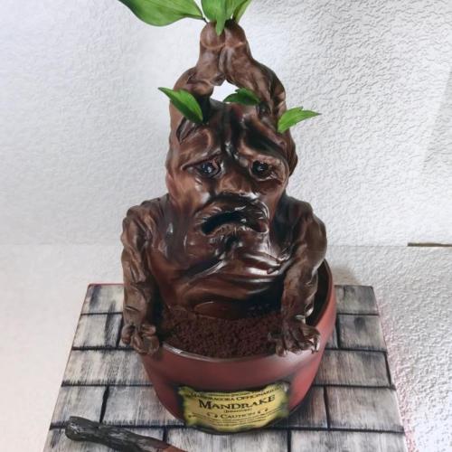 Mandragora Harry Potter