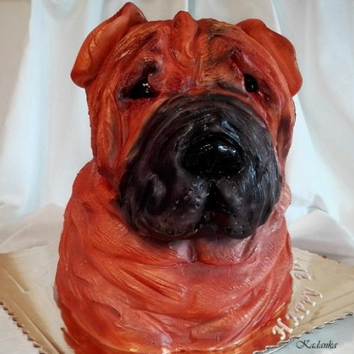 Shar pei psia hlava
