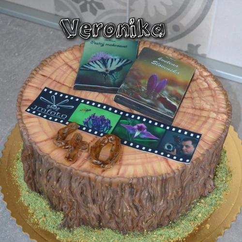 Torta kmeň