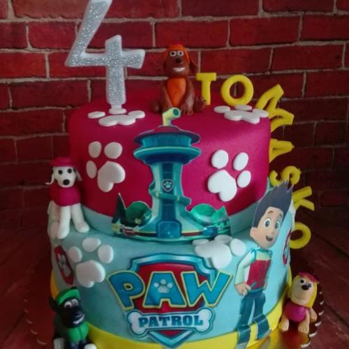 Paw patrol