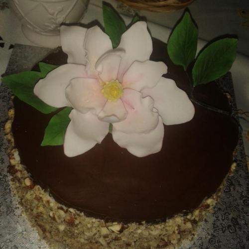 magnólia