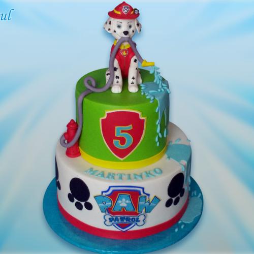 Paw patrol