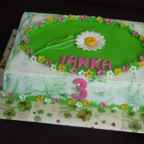 Janka -- 3 --