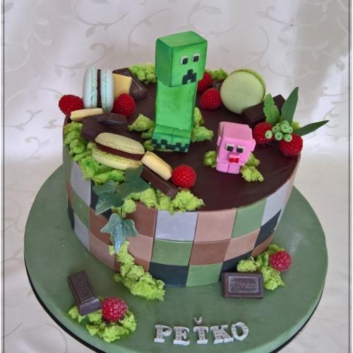 Minecraft & Creeper